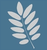 Rowan Engineering